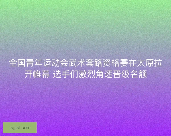 全国青年运动会武术套路资格赛在太原拉开帷幕 选手们激烈角逐晋级名额