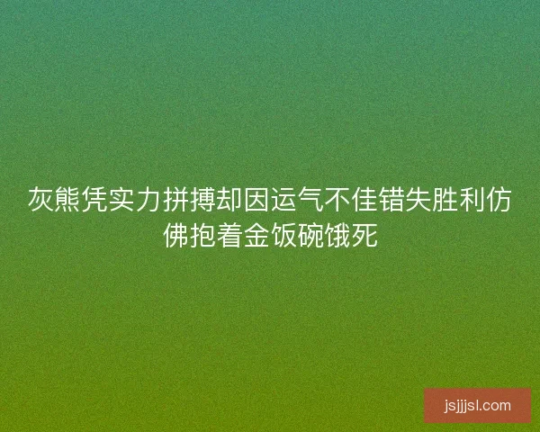 灰熊凭实力拼搏却因运气不佳错失胜利仿佛抱着金饭碗饿死